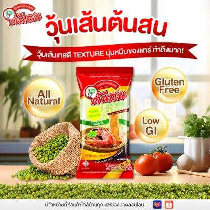 รูปภาพของ ต้นสนวุ้นเส้น40กรัม แพ็ค 10