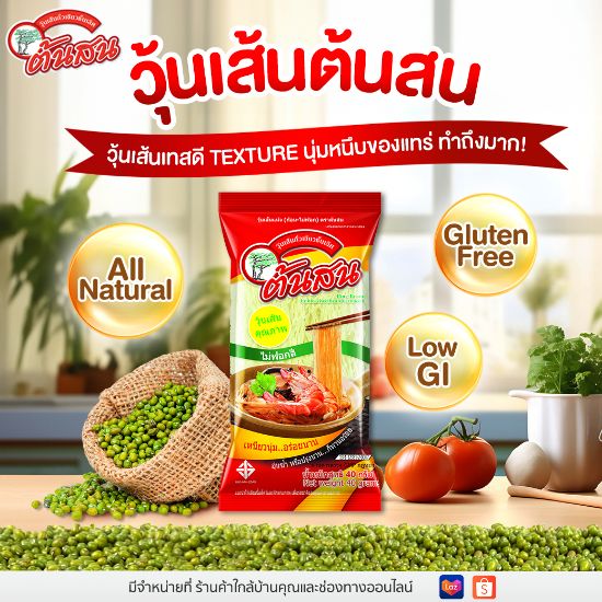 รูปภาพของ ต้นสนวุ้นเส้น40กรัม แพ็ค 10
